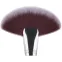 Big Fan Brush