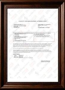Disney Authorization