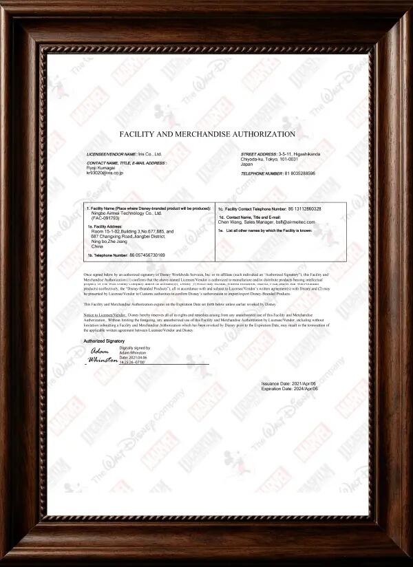 Disney Authorization