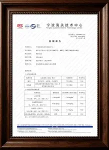 CTI Chemical Safety Report